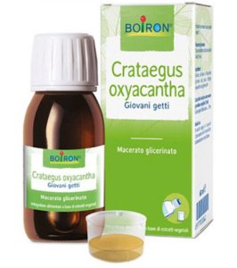 CRATAEGUS OXYACANTHA  TINTURA MADRE 60 ML