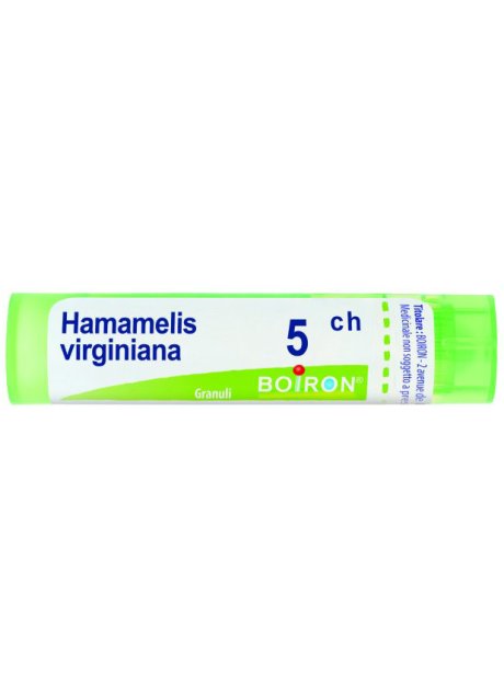 HAMAMELIS VIRG 5CH GR BO