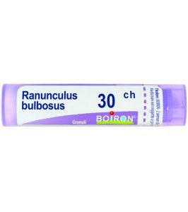 RANUNCULUS BULBOSUS 30CH GR *BO*