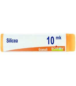 SILICEA XMK GL BO