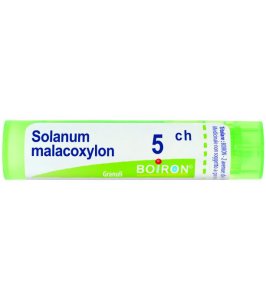 SOLANUM MALACOXILON 5CH GR
