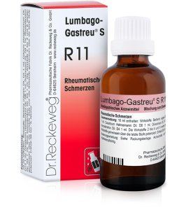 RECKEWEG R11 GOCCE 22 ML