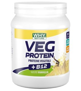 WHYNATURE VEG PROTEIN VAN 450G