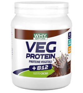 WHYNATURE VEG PROTEIN CAC 450G