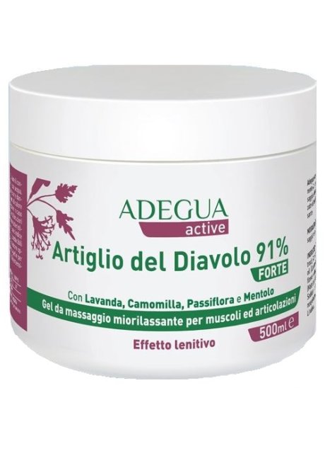 ADEGUA ACTIVE A DIAV 91% FT500