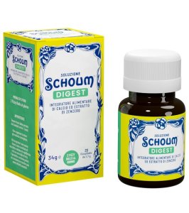 SOLUZIONE SCHOUM DIGEST 20FIZZ