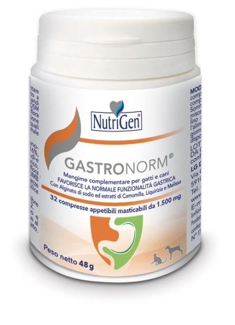 V GASTRONORM 32CPR