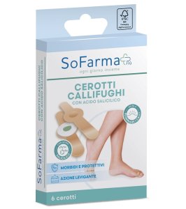 CEROTTO CALLIFUGHI TONDO 6PZ SF+