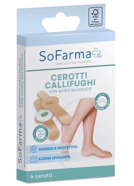 CEROTTO CALLIFUGHI TONDO 6PZ SF+
