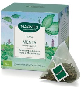 FILTROSCRIGNO MENTA PIP 15FILT