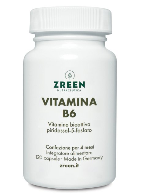 ZREEN VITAMINA B6 120CPS