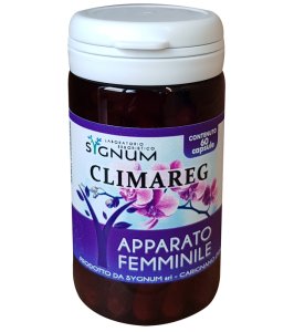 CLIMAREG 60CPS