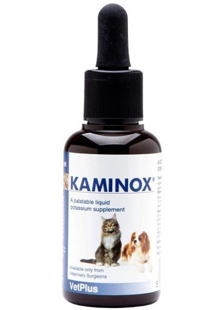 KAMINOX SCIROPPO 60ML