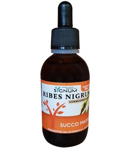 RIBES NIGRUM SUCCO MADRE 50ML