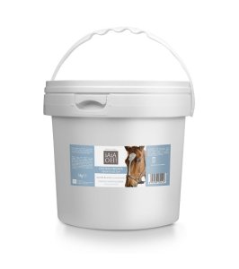 CAVALLO CRETATA PRONTA IAIAOH