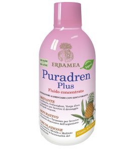 PURADREN PLUS ANANAS 500ML