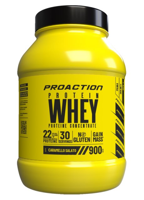 FIT WHEY PROTEIN CARAMELLO SAL