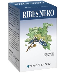RIBES NERO ERBE 60CPS