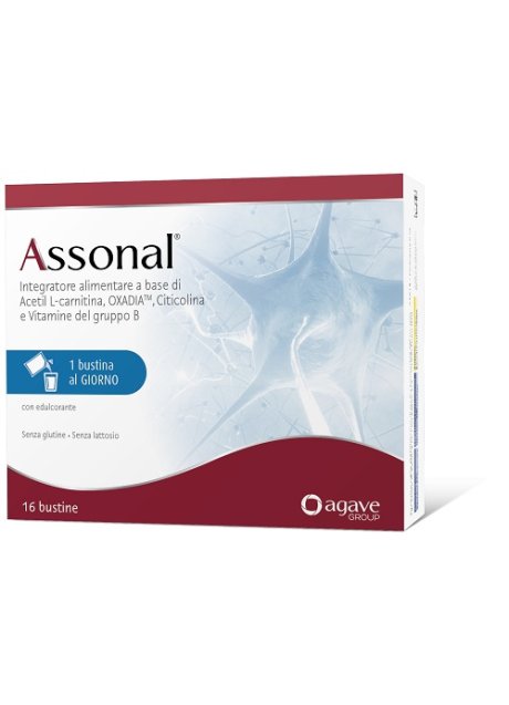 ASSONAL 16BUST