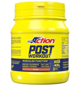 PROACTION FIT POST WORKOUT 400GR