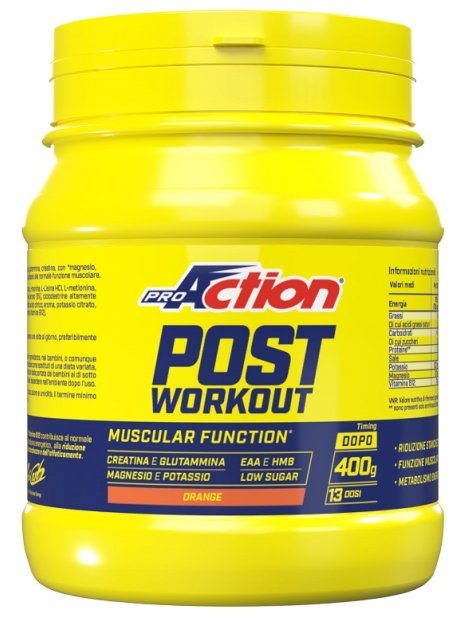 PROACTION FIT POST WORKOUT 400GR