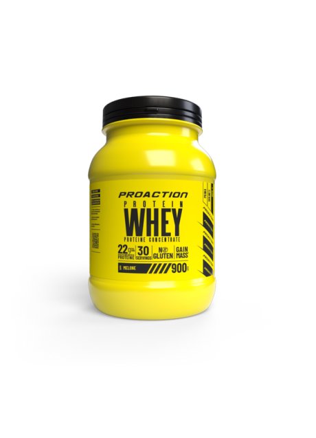 PROACTION FIT WHEY PROTEIN MEL