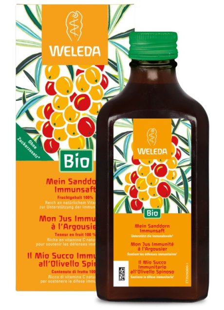 OLIVELLO SPINOSO VITAL SUCCO
