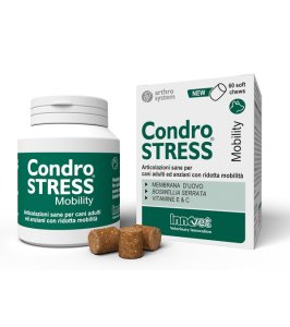 CONDROSTRESS MOBILITY 60 CHEWS