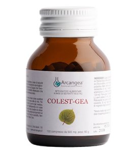 COLEST-GEA C/Q10 120CPR 500MG N/