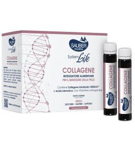 SAUBER SYSTEM LIFE COLLAG/AC IAL
