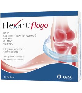 FLEXART FLOGO 14BUST