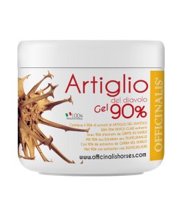 ARNICA GEL 90% 250 ML