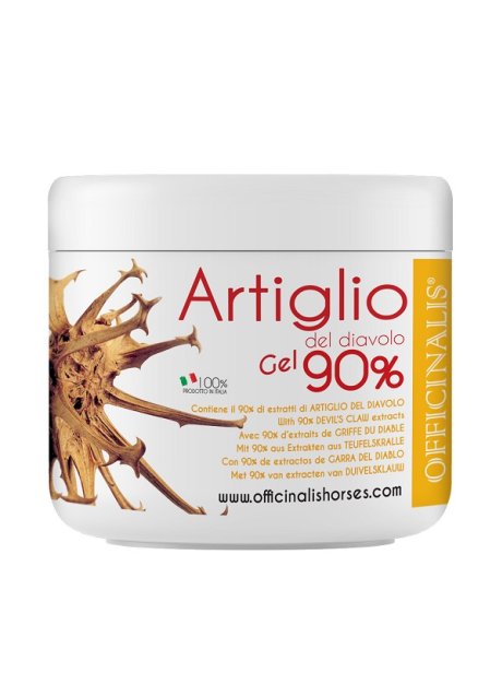 ARNICA GEL 90% 250 ML
