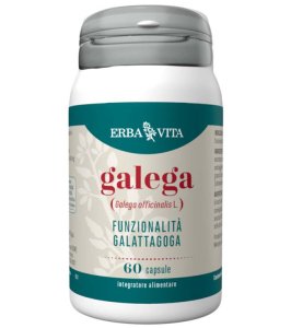 GALEGA 60CPS EBV