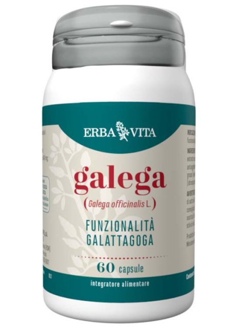 GALEGA 60CPS EBV