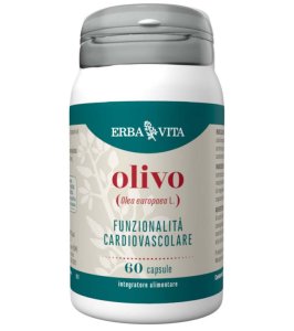 OLIVO 60CPS