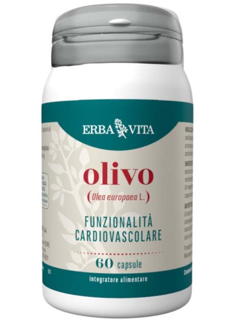 OLIVO 60CPS