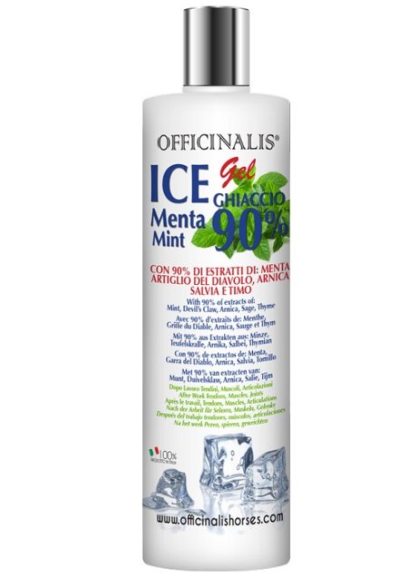 ICE OFFICINALIS GEL 90% 250 M