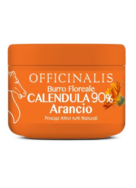 BURRO FLOREALE ARA CALEND UMAN