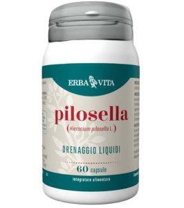 PILOSELLA 60CPS EBV