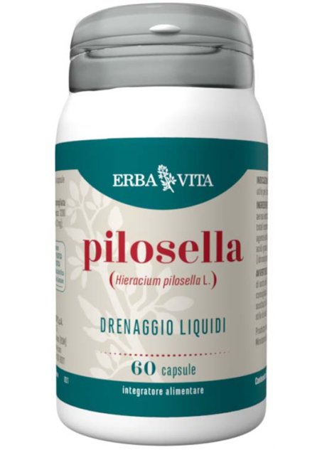 PILOSELLA 60CPS EBV