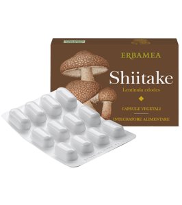 SHITAKE 24CPS VEGETALI ERBAMEA