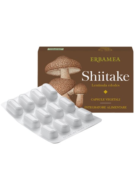 SHITAKE 24CPS VEGETALI ERBAMEA