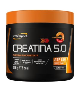 CREATINA 5.0 300GR N/F ETHICSPOR