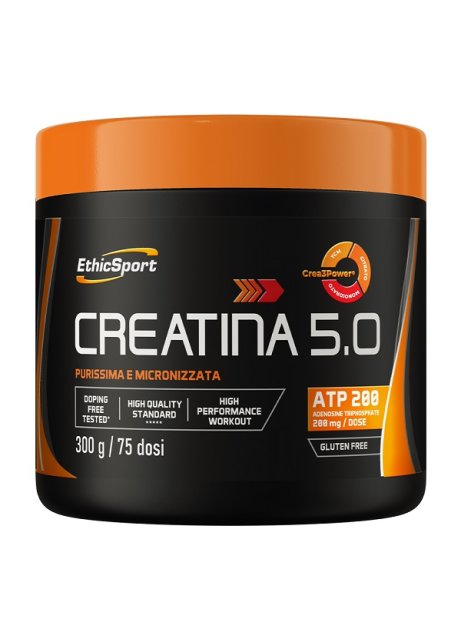 CREATINA 5.0 300GR N/F ETHICSPOR