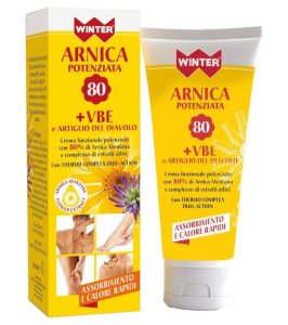 WINTER ARNICA POT+VBE ARTIGLIO