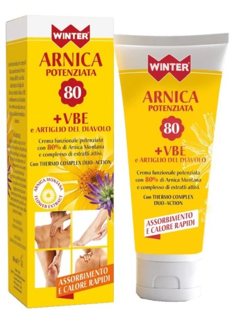 WINTER ARNICA POT+VBE ARTIGLIO
