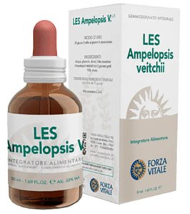 LES AMPELOPSIS WEITCHII GOCCE