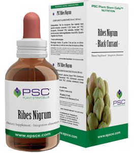 PSC RIBES NIGRUM GOCCE 15ML