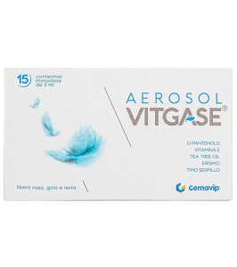 VITGASE AEROSOL 15F 25ML